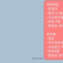 다인인스펙션