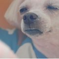 덕천지하철약국 이미지
