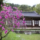 숭절사 이미지