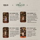 구월의 소철 이미지