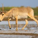 (주) 환경과 가치 이미지