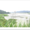 우포마을민박 이미지