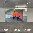 독도세탁 | 241025 아이런 독도 그란폰도 1025 후기