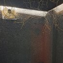 동명반주 이미지