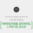 에이스바디 이미지