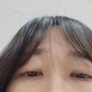 나베르떼헤어 이미지