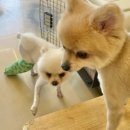 사랑가득케어 이미지