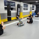 키즈 MMA 주짓수 태권도 이미지