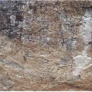 완도수목원 가로수길 이미지