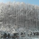 관광농원낚시터 이미지