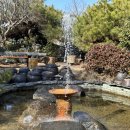 고메갈비 이미지