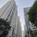 양덕동572 이미지