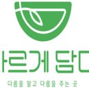 샐러드담다