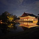 현대궁중민화(야간) | 밤에갈만한곳 서울가족여행 궁중문화축전 경복궁 야간관람 예약 별빛야행 후기