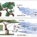 에이스바이오산업 이미지