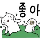 인셀덤잠실 이미지