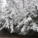 뚝섬한강공원-11 이미지