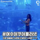 진고개냉면 이미지