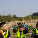 송죽농장 이미지