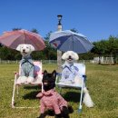 파라독스글램핑 이미지