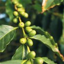 이동문농장 이미지