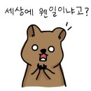 명성집 이미지