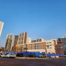 세담초등학교 이미지