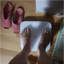 이경호행정사 네이버블로그