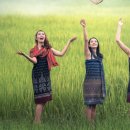 고스락행정사사무소 이미지