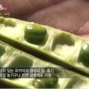 위경화농장 티스토리