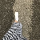 은광문정지점 | 7/16~7/21) 신나는 일 가득!😆 반가운 사람 함께!😘