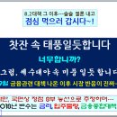 8.2대책 100일, 지금 시장은? 이미지