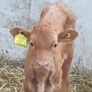 너래농원 이미지