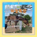 썬목장 | [울산 아이랑 가볼 만한 곳] 울산 하늘목장 방문 후기