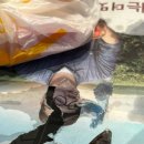 클레이하우스투 | 올해가 반도 더 지났다