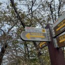 평지경로식당 | 대둔산 등산코스 후기 | 삼선계단·마천대·수락계곡까지, 주차·소요시간·난이도