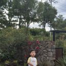 라데나 제주 이미지