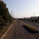 안성1교차로(평화로) 2 이미지