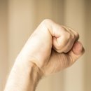 스타 반려견 교육센터 이미지