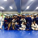 용인대 도당 유도 체육관 이미지