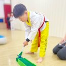 문산경희태권도 이미지