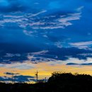 조경기능사(자격) 이미지