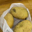 블리스메디 이미지