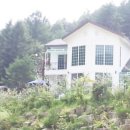 엄둔계곡 가자화이트 이미지