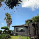 보아비양 이미지