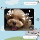 서초대로75길 이미지