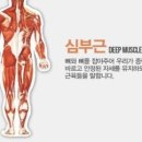 플러스휘트니스 이미지