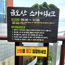 하늘을 담다, 바다를 품다 -하동플라이웨이 케이블카와 짚라인 후기