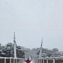 눈오는 날 서울숲가는길 이미지