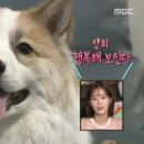 벨르시앙 이미지